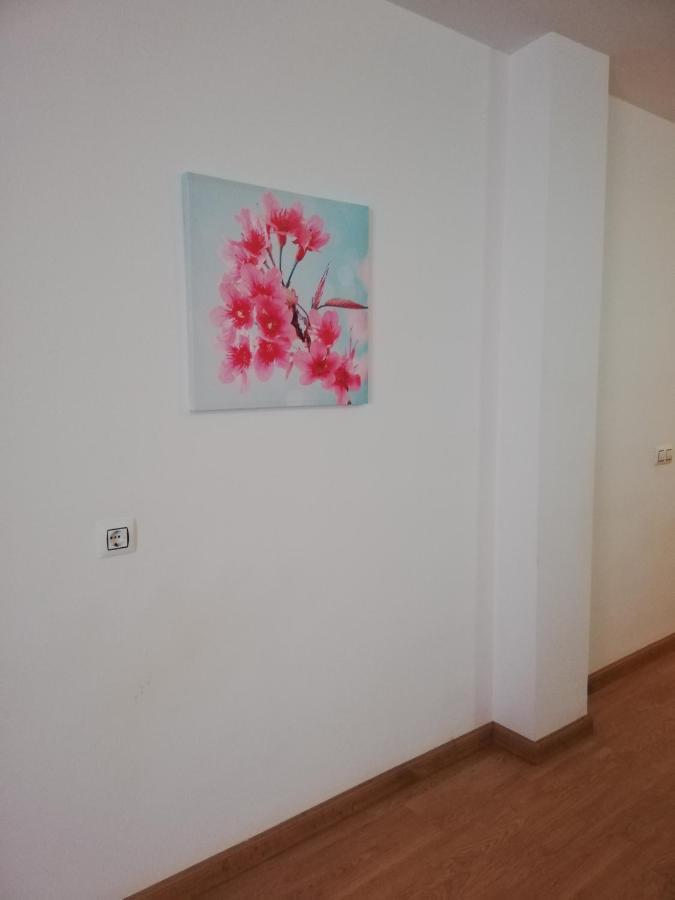 Apartamento En Primera Linea De Vera Playa Naturista! Buitenkant foto